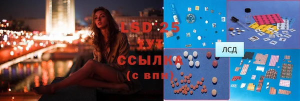 прущий лед Алзамай