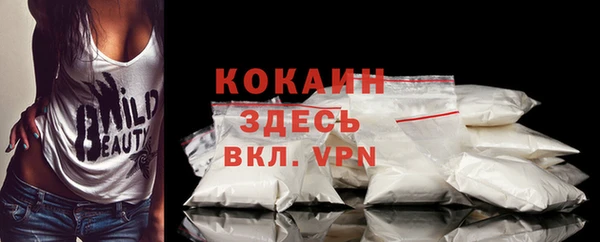 прущий лед Алзамай