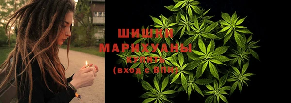 прущий лед Алзамай