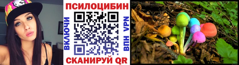 Псилоцибиновые грибы Cubensis  Бабаево 